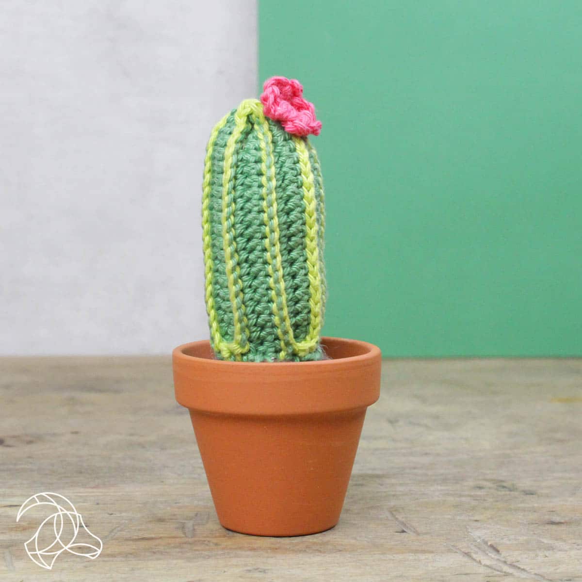 DIY Crochet Kit - Cacti