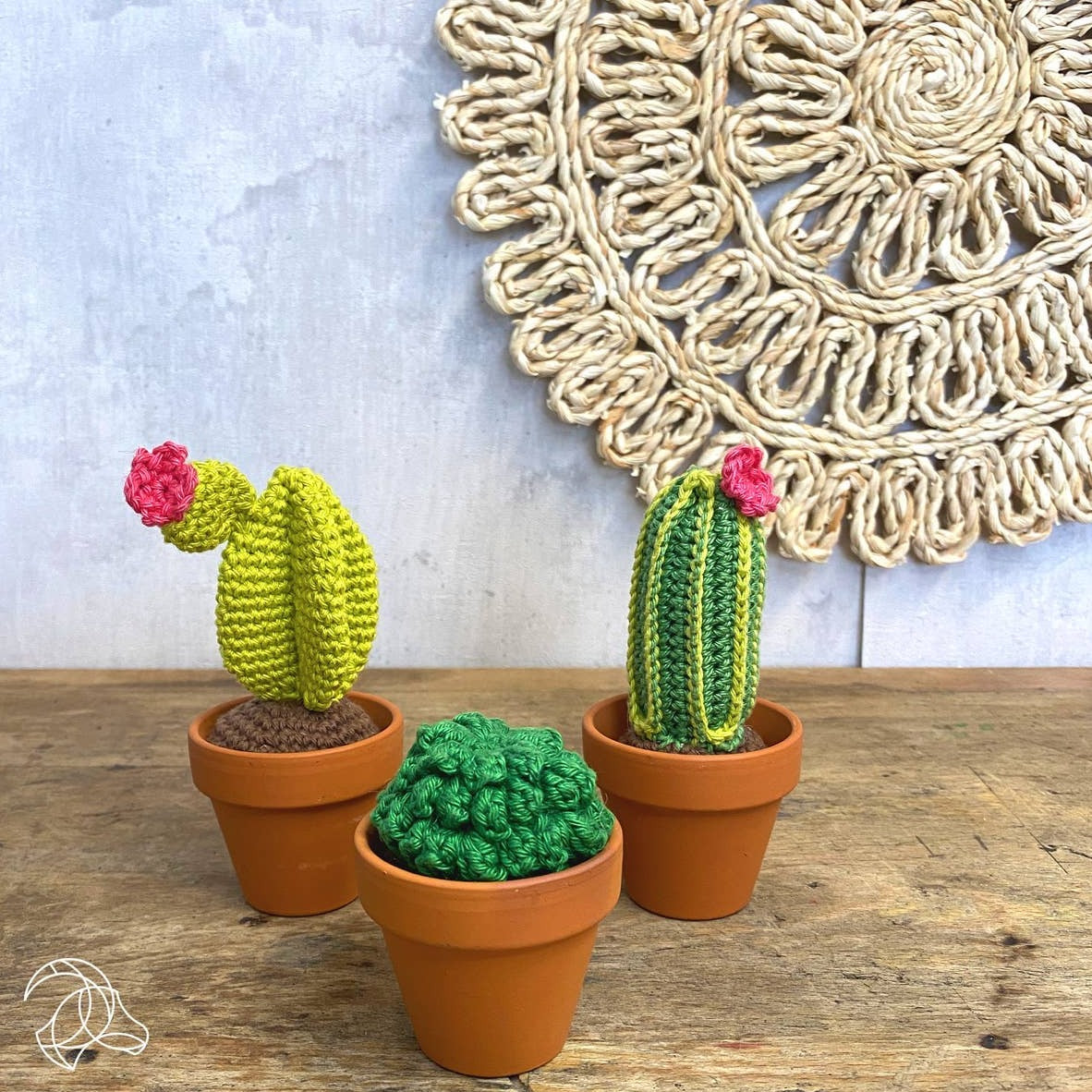 DIY Crochet Kit - Cacti