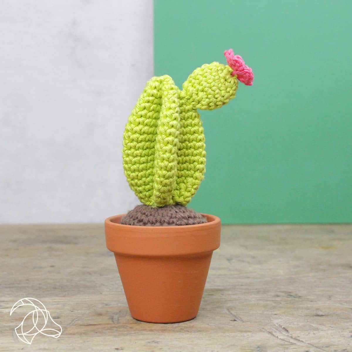 DIY Crochet Kit - Cacti