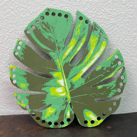 Monstera Basket Base – Solid or Variegated
